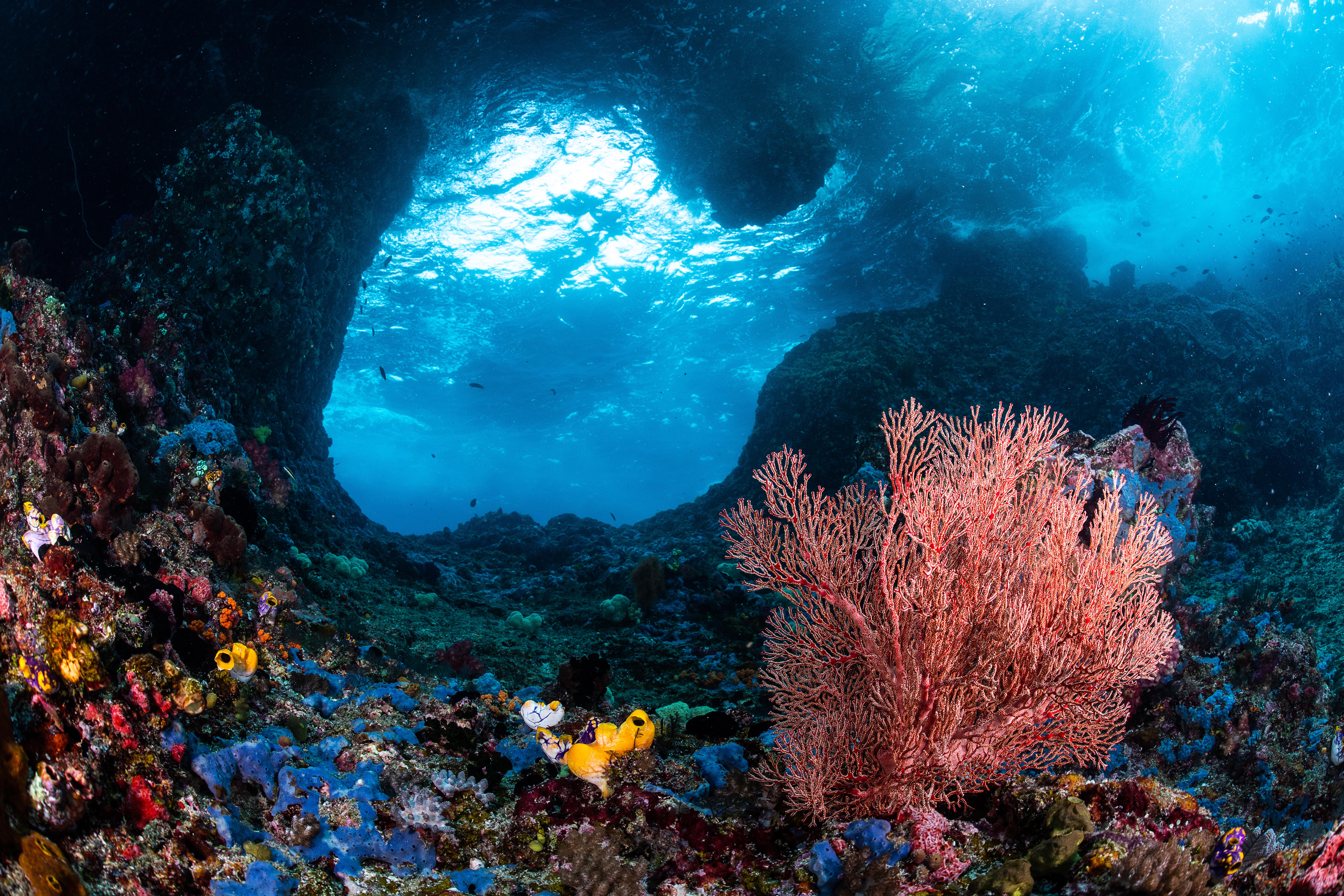Ocean Vacancies