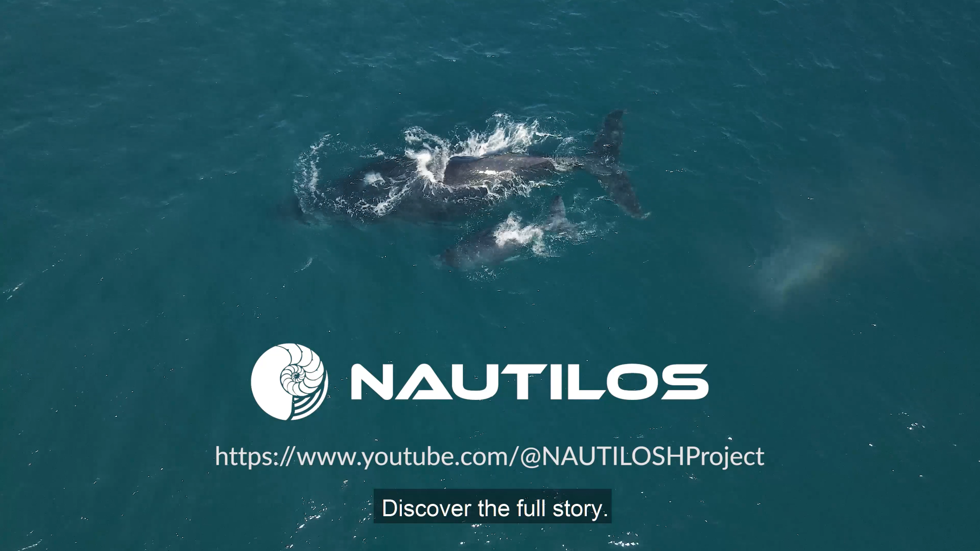 Final Highlights Video of the NAUTILOS Conference!