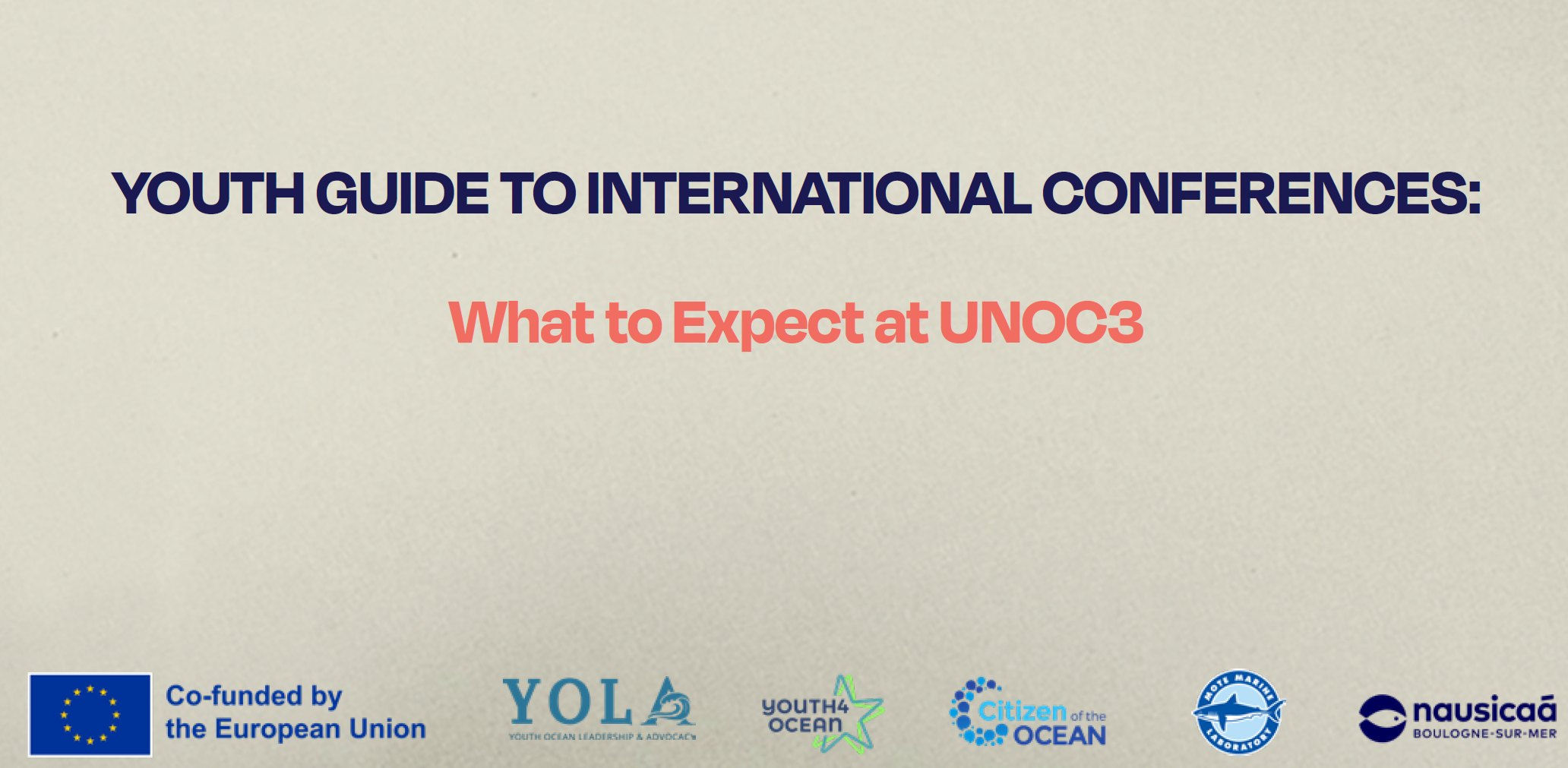 Youth Guide for International Conferences – UNOC 3
