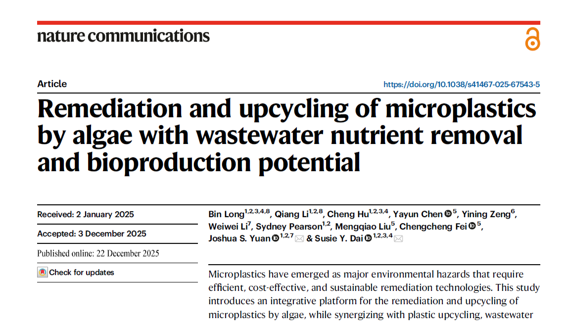 New algal platform offers sustainable pathway to remove and upcycle microplastics