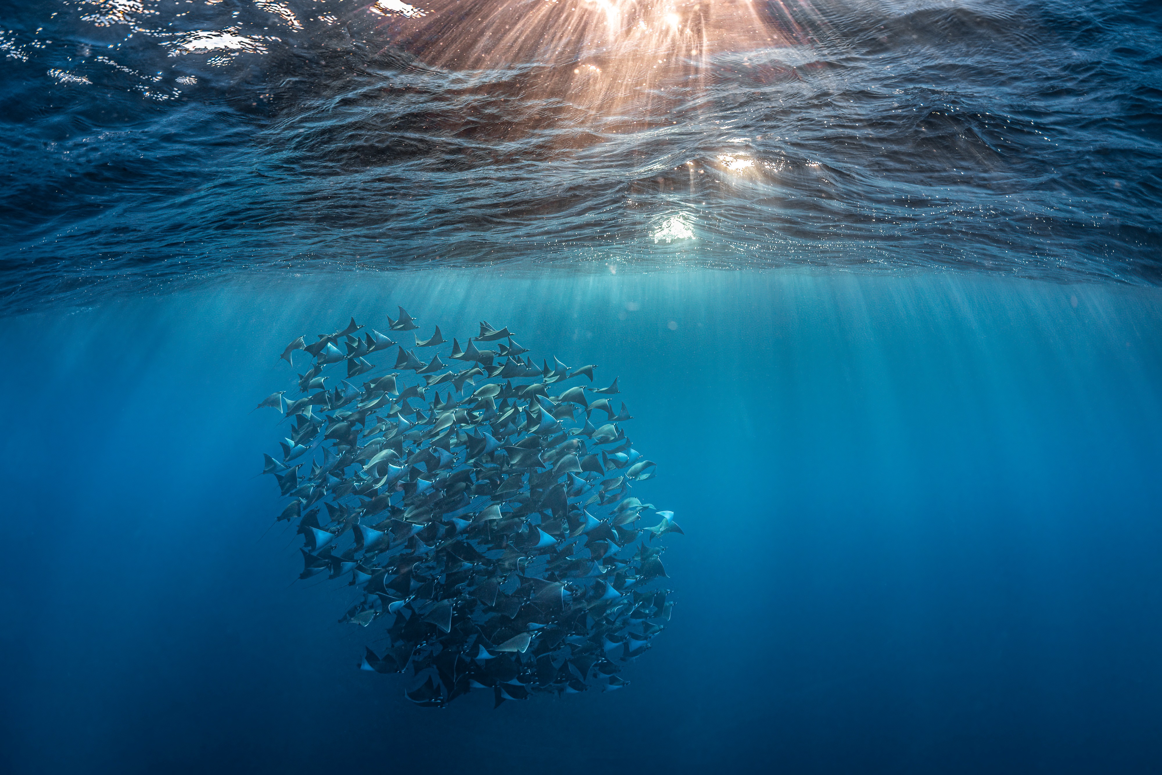 EU4Ocean III Kick-Off Meeting in Brussels