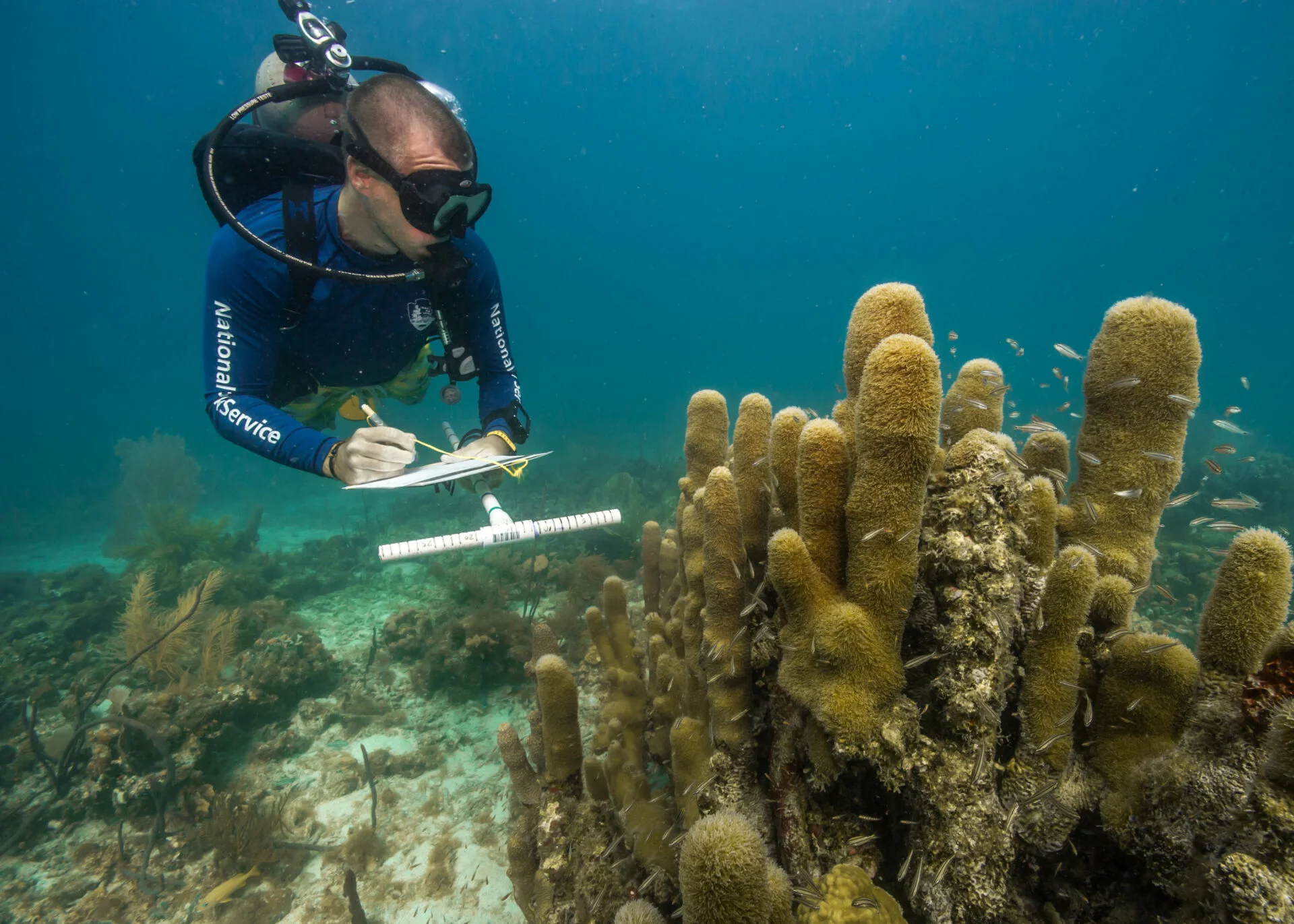 MAB Young Scientist Awards