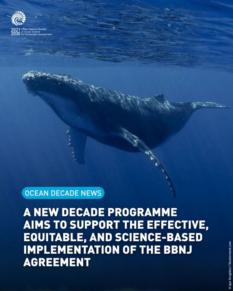 New Ocean Decade Programme to Support Implementation of the BBNJ Agreement