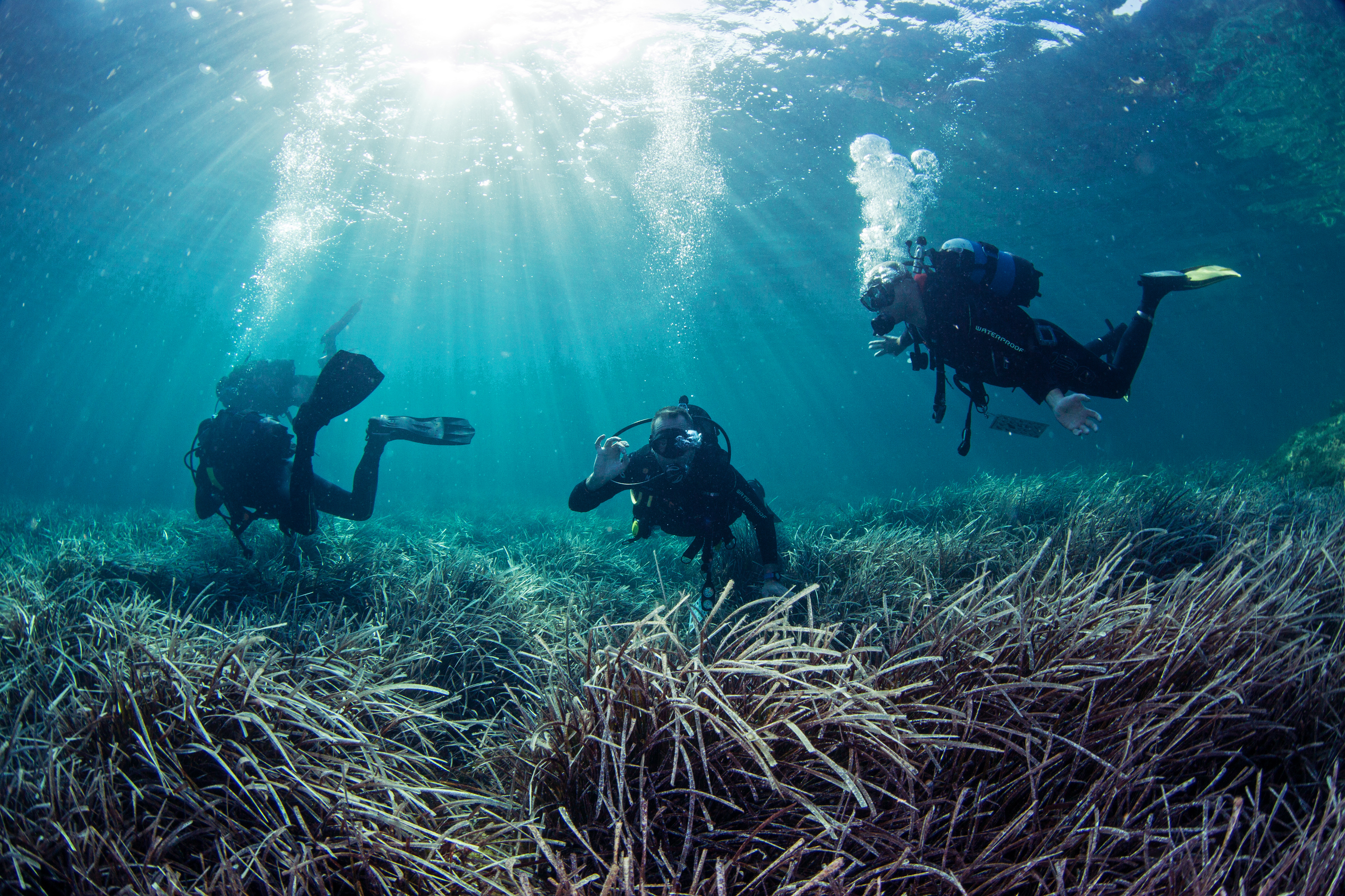 CMMI Study Informs Cyprus’ Strategy for Sustainable Diving Tourism