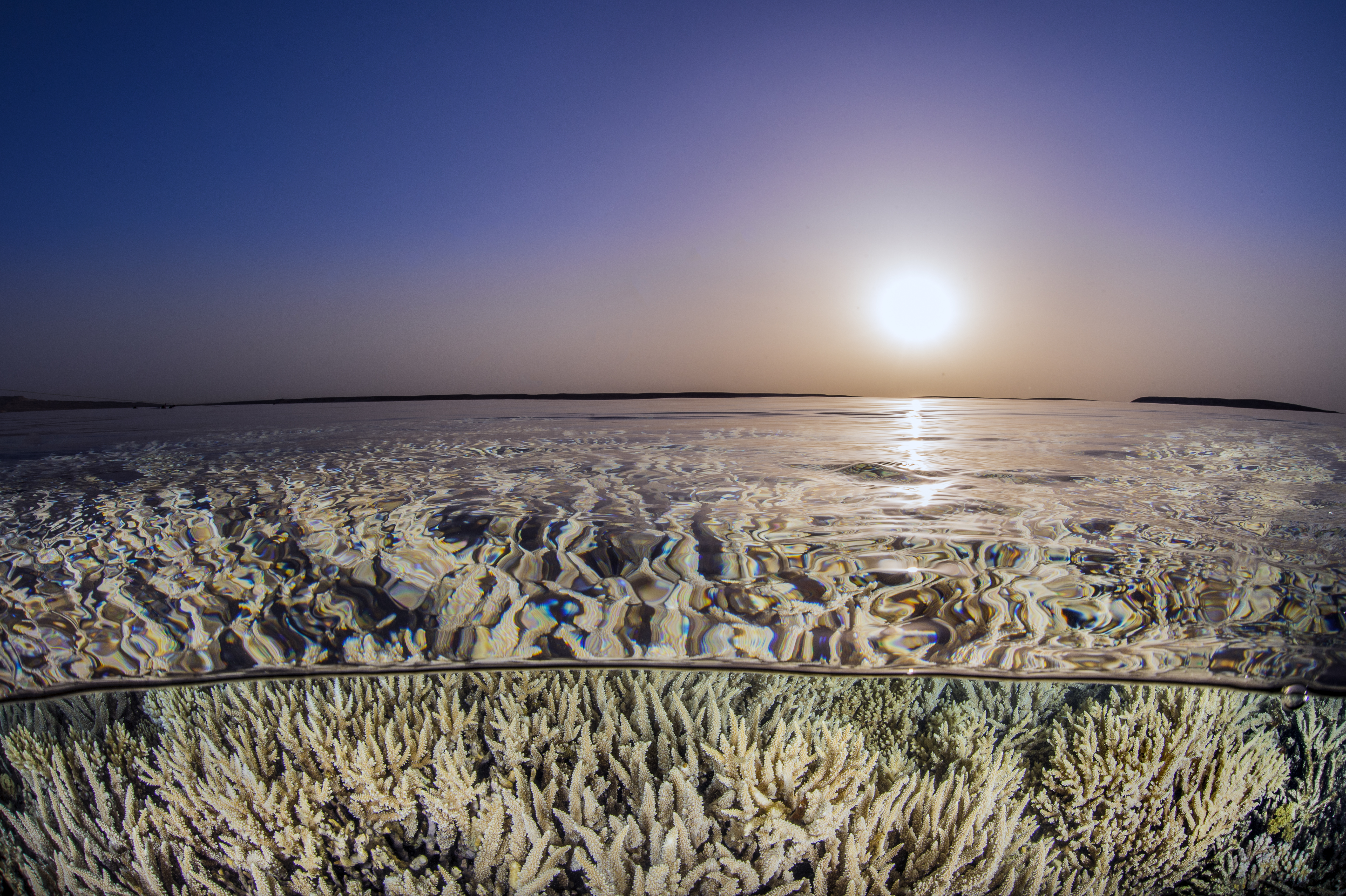 Ocean Recognised as a Strategic Domain for Science and Innovation