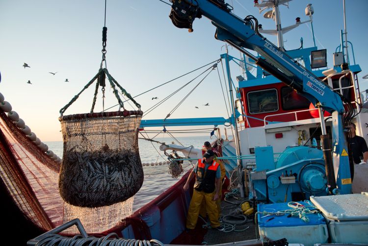A New Framework for More Sustainable Fisheries Management