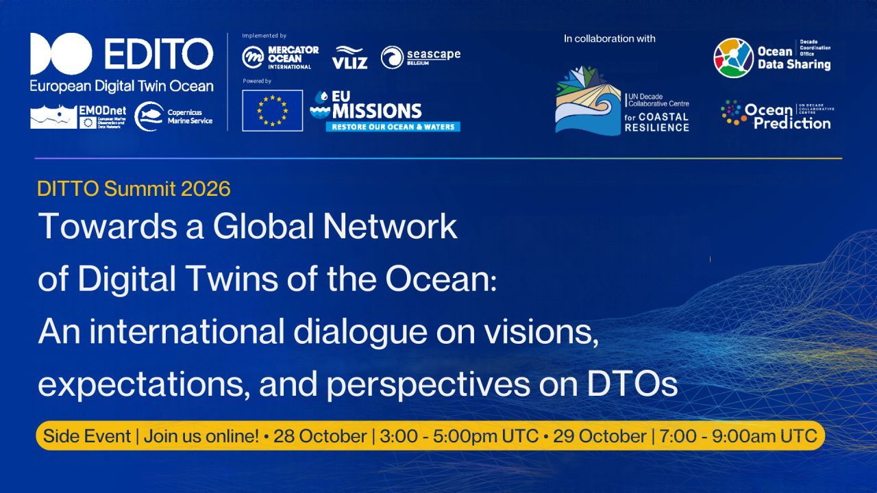 Towards a Global Network of Digital Twins of the Ocean: Join the International Dialogue